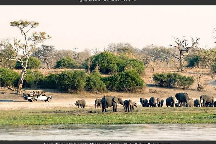 Chobe Full Day Trip: Game Drive and Chobe River Safari from Livingstone