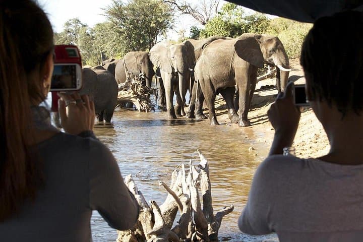 Chobe Full Day Trip: Game Drive and Chobe River Safari from Livingstone photo 3
