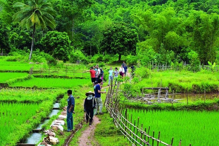 Mai Chau Day Trip from Hanoi: Thung Khe Pass, Muong Market & Village Cycling photo 4