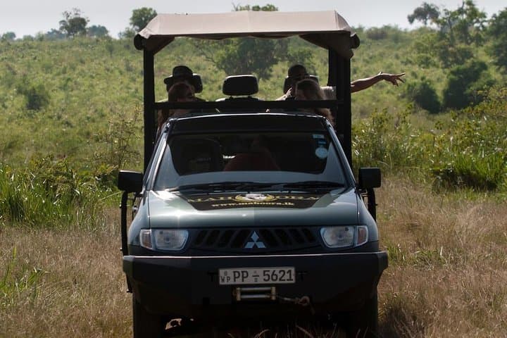 Afternoon Bundala Safari: Half-Day Birding & Wildlife Drive from Tissamaharama photo 4
