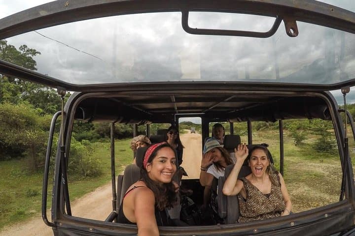 Morning Game Drive in Yala National Park: Leopard Safaris & Wildlife Viewing photo 2