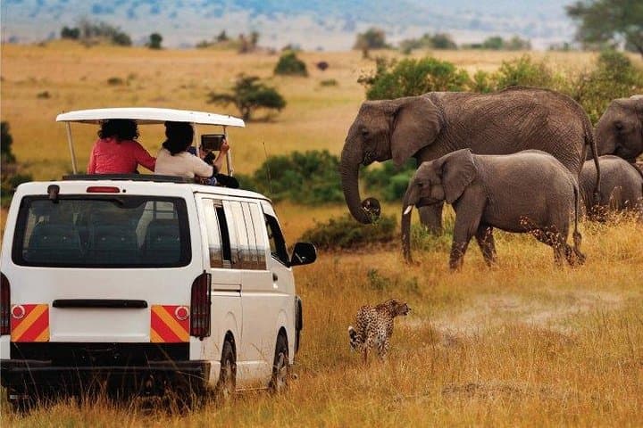 3-Day Amboseli Safari: Elephants, Kilimanjaro Views & Maasai Culture photo 6