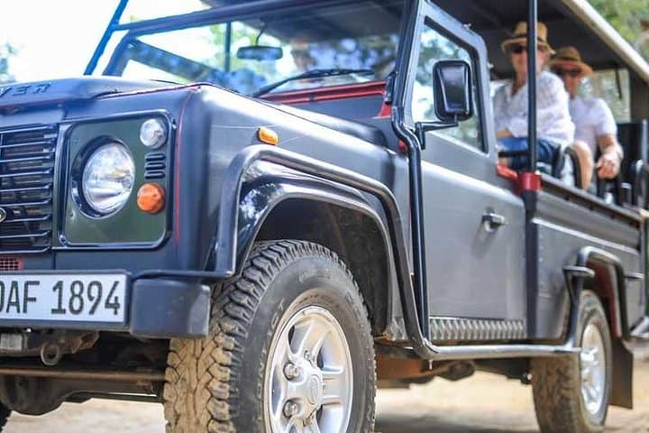 Afternoon Safari at Yala National Park: 3-Hour Game Drive for Leopard Viewing