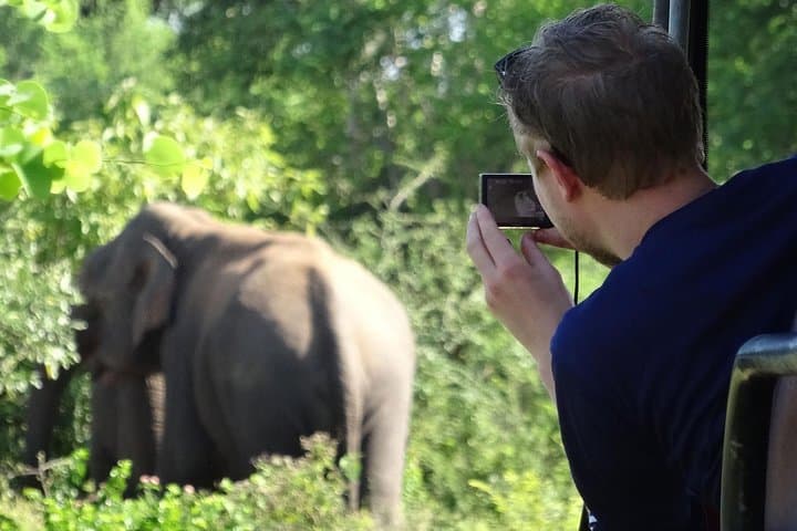 Afternoon Safari at Yala National Park: 3-Hour Game Drive for Leopard Viewing photo 4