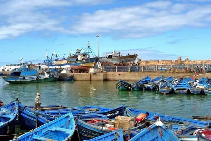 Essaouira Fishing Town Day Trip from Agadir — Medina, Port & Argan Forests photo 5
