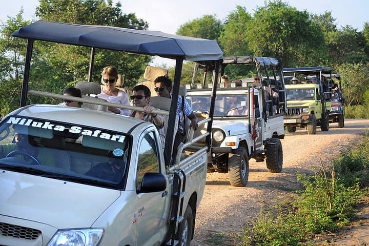 Afternoon Game Drive at Udawalawe National Park: Elephant Safari photo 3