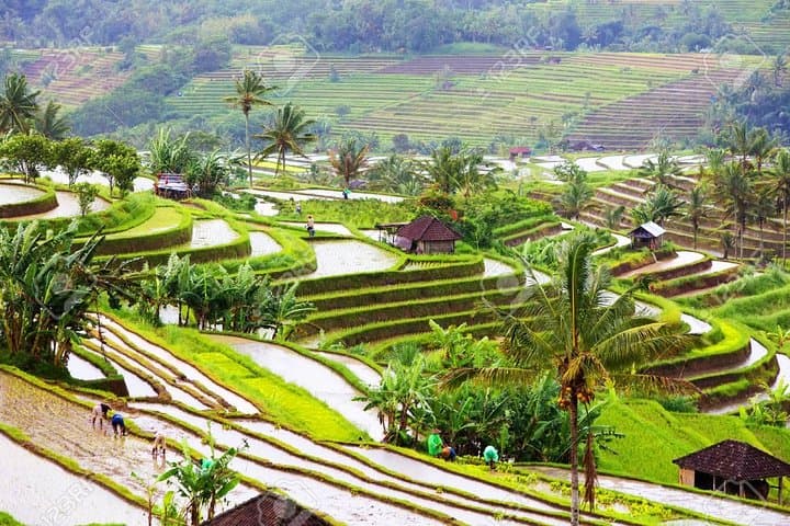 Ubud Heaven Gate, Whitewater Rafting & Jungle Swing Day Tour photo 6