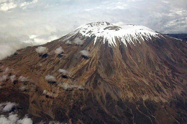 Day Hike Marangu Route to Mandara Hut — Kilimanjaro One-Day Trek photo 4
