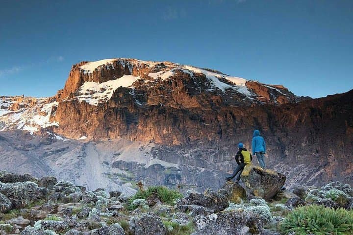 Day Hike Marangu Route to Mandara Hut — Kilimanjaro One-Day Trek photo 5