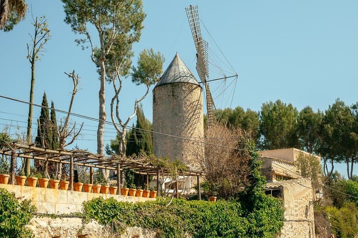 Private Drach Caves Day Trip from Palma: Lake Martel, Local Guide & Small Group Access photo 5