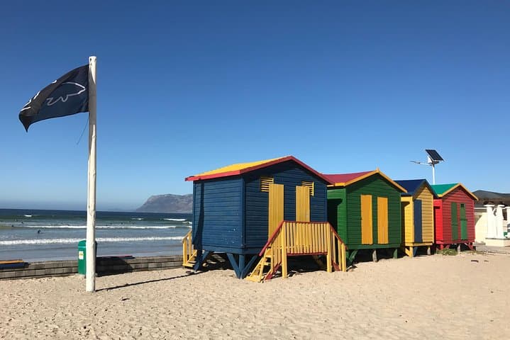 Cape Peninsula Day Tour: Penguins, Chapman’s Peak & Cape of Good Hope photo 1