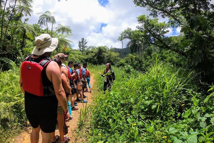 Half-Day El Yunque Rainforest Waterslide Adventure — Luquillo & Río Grande photo 4