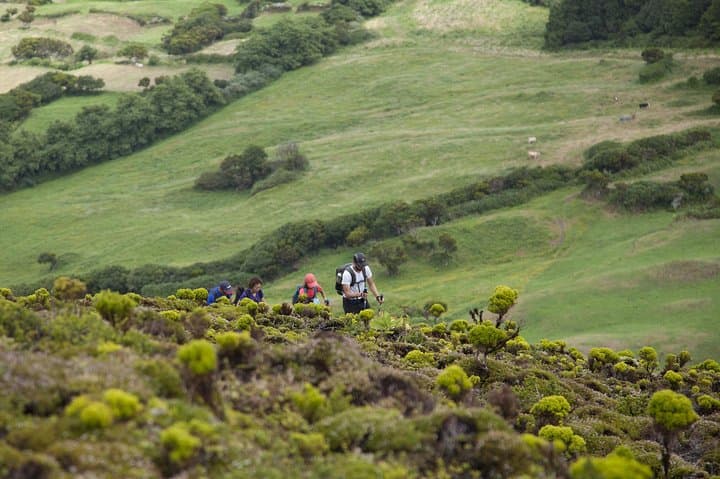 Hike Faial's 10 Volcanos Trail: Caldeira to Capelinhos Full-Day Tour