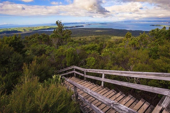 Auckland to Rangitoto Island Ferry — Volcanic Summit Walk & Lava Caves photo 2