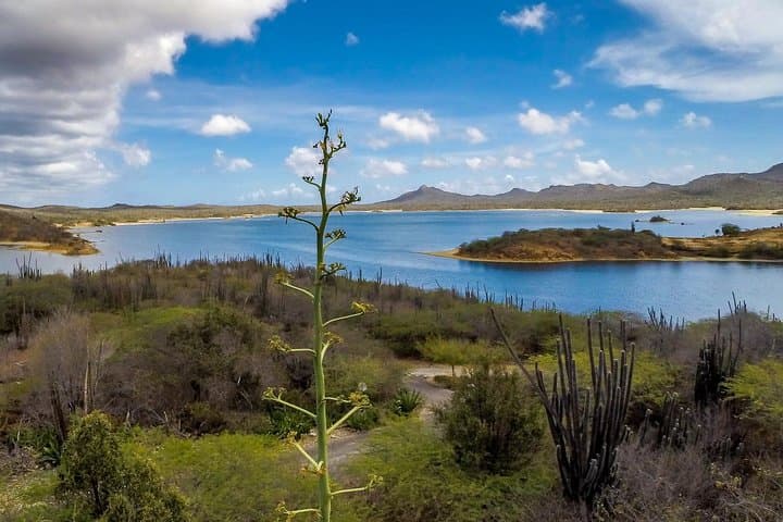 Bonaire Essentials Island Tour: Salt Pans, Slave Huts & Sorobon Beach photo 5
