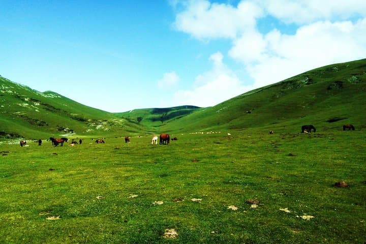 Hike the Heart of the Basque Country: Shepherd Valleys, Mountain Cider & Peaks photo 4