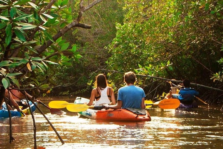 Sea Kayaking Adventure in Ao Thalane Bay from Krabi: Mangroves, Caves & Limestone Cliffs photo 3