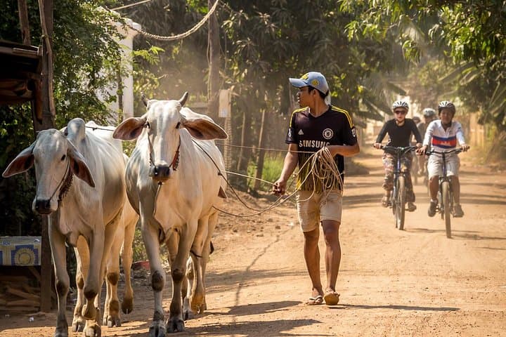 Silk Islands Bike Tour from Phnom Penh — Mekong Cycling Adventure