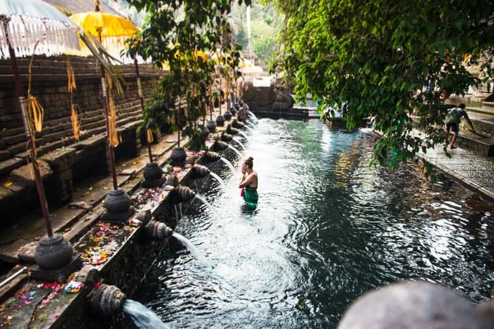 Ubud Surroundings Tour: Monkey Forest, Rice Terraces & Holy Springs photo 3
