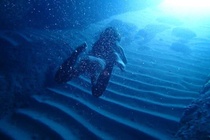 Blue Cave & Green Caves Speedboat Tour to Šunj Beach from Dubrovnik photo 4