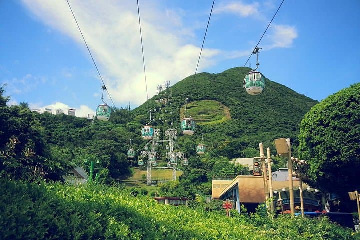 One-Day Peak Tram to Victoria Peak and Ocean Park: Hong Kong Sightseeing Guide photo 1