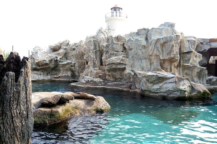 One-Day Peak Tram to Victoria Peak and Ocean Park: Hong Kong Sightseeing Guide photo 3