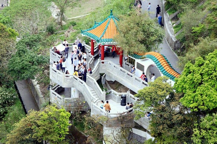 One-Day Peak Tram to Victoria Peak and Ocean Park: Hong Kong Sightseeing Guide photo 4