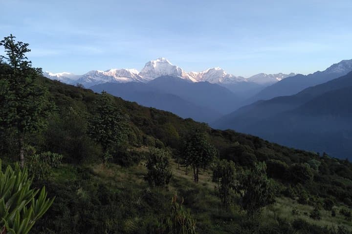 Poon Hill Trek: 4 Nights, 5 Days Annapurna Sunrise Trek from Pokhara photo 2
