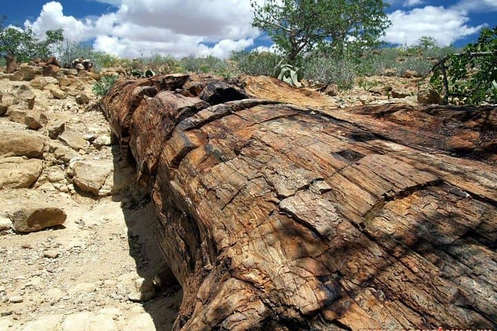 11-Day Namibia Adventure: Etosha Safari, Brandberg Camping & Twyfelfontein Rock Art photo 6
