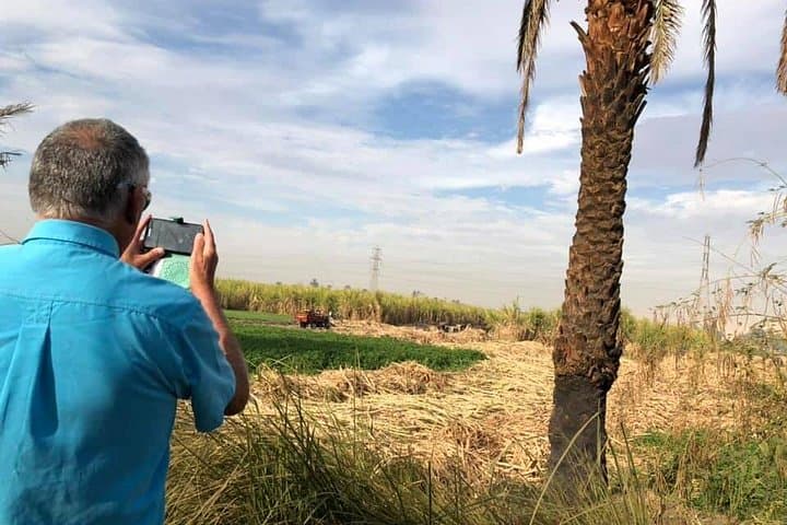 Hiking Rural Luxor: West Bank Village Walk Through Banana Fields