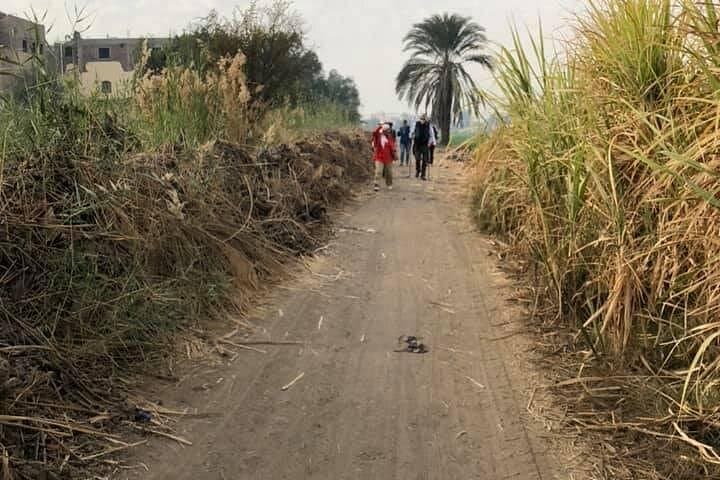 Hiking Rural Luxor: West Bank Village Walk Through Banana Fields photo 2