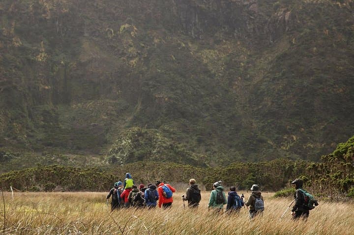 Caldeira do Faial Descent: Guided Hike into Faial’s Volcanic Crater photo 2