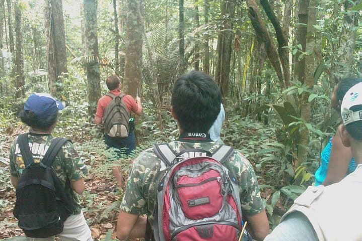 Manaus to Presidente Figueiredo: Private Caves & Waterfalls Day Tour photo 3