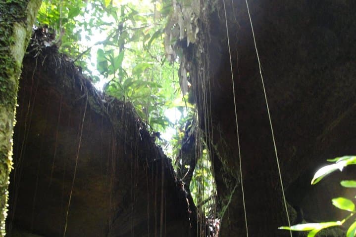 Manaus to Presidente Figueiredo: Private Caves & Waterfalls Day Tour photo 5