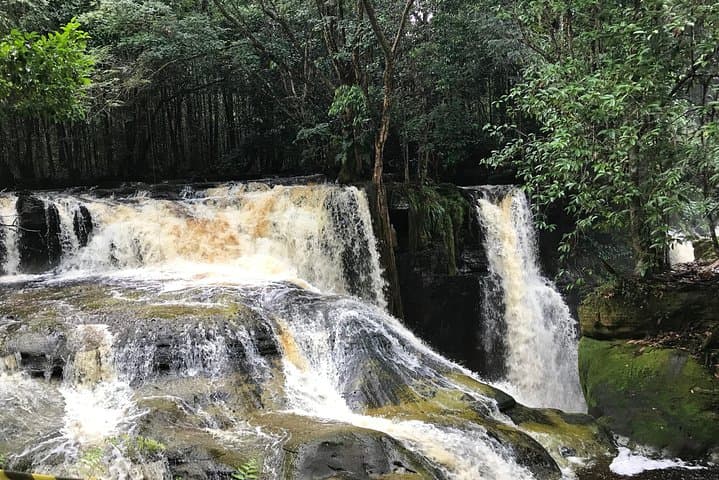 Manaus to Presidente Figueiredo: Private Caves & Waterfalls Day Tour