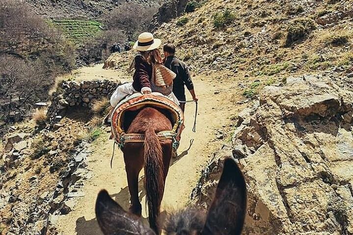 Atlas Mountains Day Trip from Marrakech: Imlil Valley, Berber Villages & Camel Ride photo 4