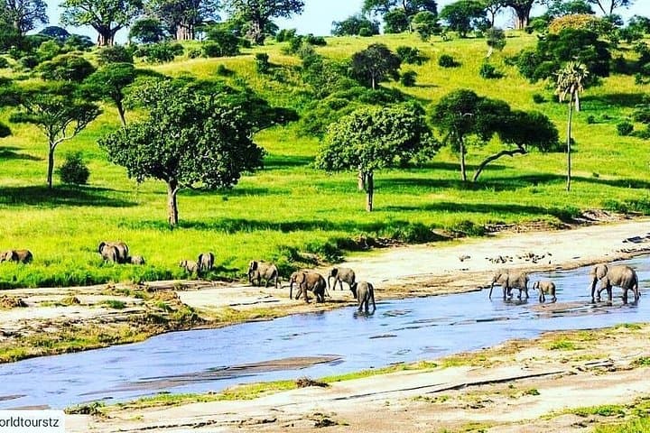 5-Day Mid-Range Lodge Safari: Lake Manyara, Serengeti & Ngorongoro photo 3