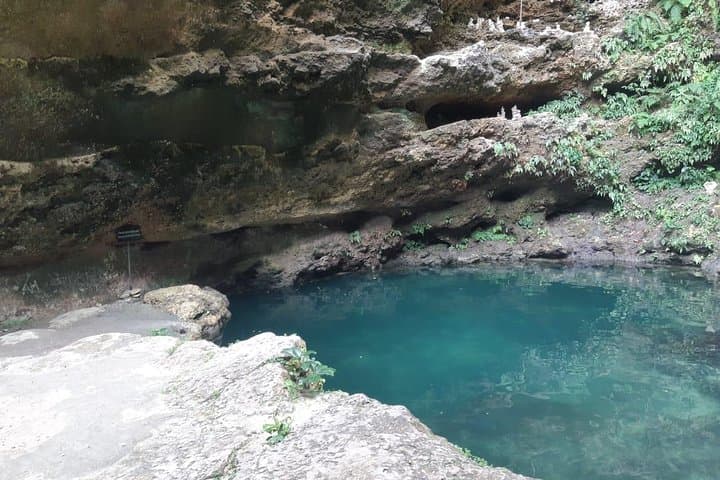 Nusa Penida Island Tour: Kelingking, Broken Beach & Crystal Bay in One Day photo 4