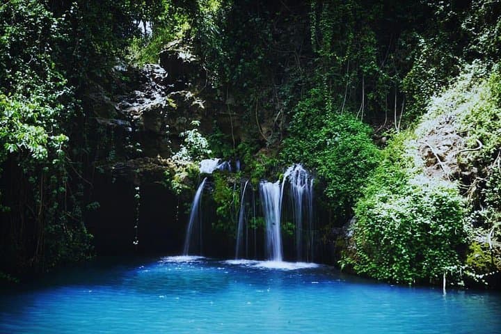 Ngare Ndare Forest Excursion: Canopy Walks, Waterfalls & Forest Trails Near Nanyuki photo 2