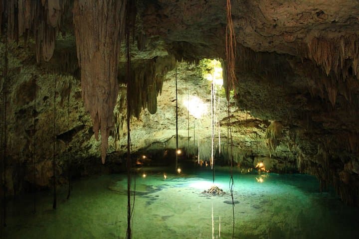 Snorkeling Expedition in Cancun & Riviera Maya — Cenote Swim and Turtle Bay photo 4