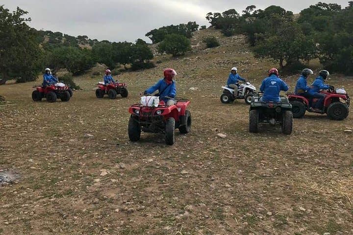 Essaouira Quad & Camel: Diabat Beach, Dunes and Pine Forest Tour photo 2