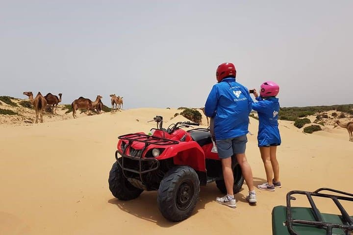 Essaouira Quad & Camel: Diabat Beach, Dunes and Pine Forest Tour photo 4
