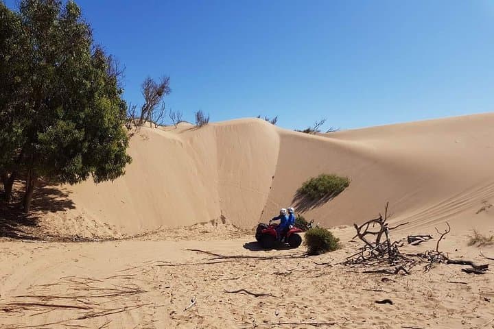 Essaouira Quad and Camel Combo: 2-Hour ATV Ride + 2-Hour Camel Trek from Diabat photo 5