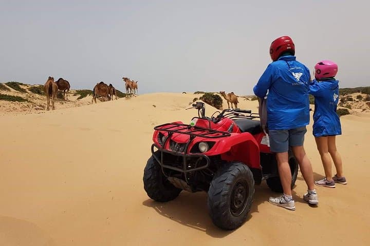 Essaouira Quad and Camel Combo: 2-Hour ATV Ride + 2-Hour Camel Trek from Diabat photo 6