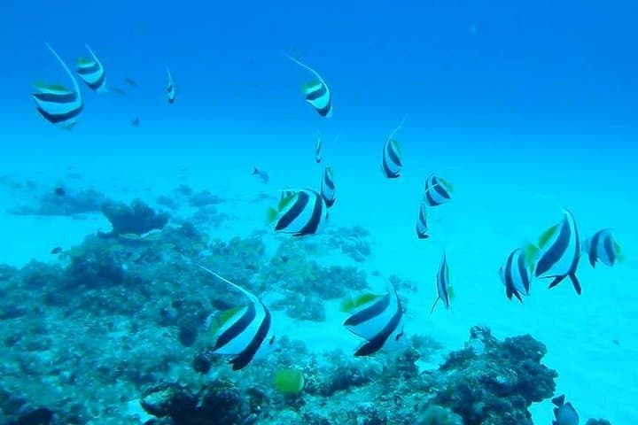 Mauritius Underwater Sea Walk and North Coast Beach Hopping from Grand Baie photo 3
