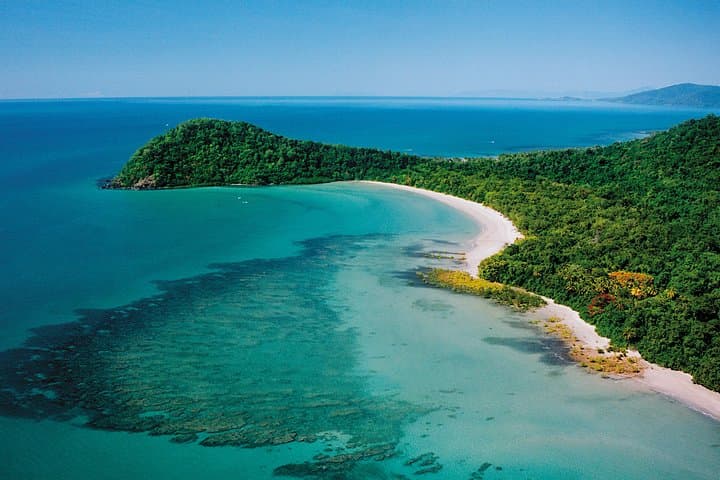 Daintree Rainforest Day Tour from Port Douglas: Mossman Gorge, Daintree River & Cape Tribulation photo 3