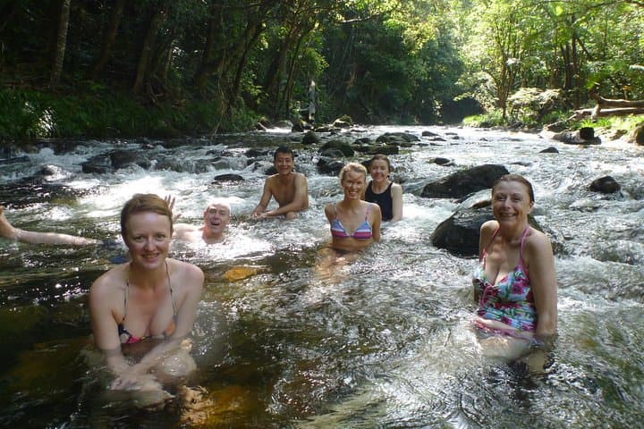 Daintree Rainforest Day Tour from Port Douglas: Mossman Gorge, Daintree River & Cape Tribulation