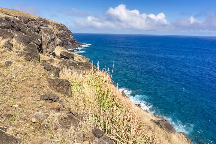 Poike Peninsula Full-Day Hike: Remote Moai, Petroglyphs & Coastal Cliffs photo 4