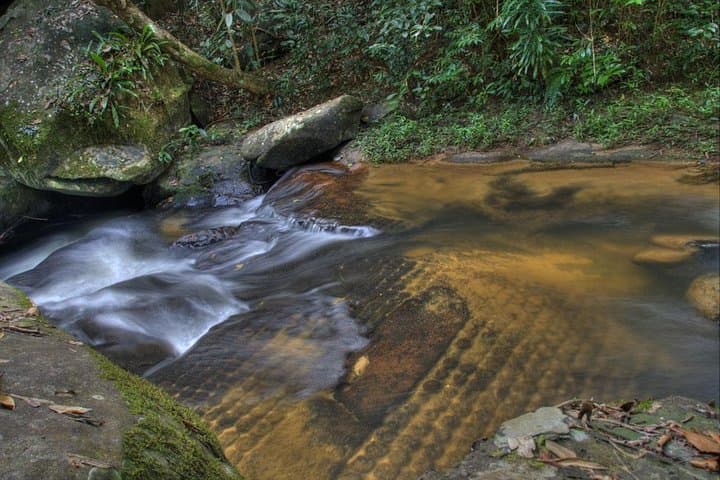 Phnom Kulen Private Day Tour: Reclining Buddha, Waterfall & Lost City LIDAR Sites photo 2