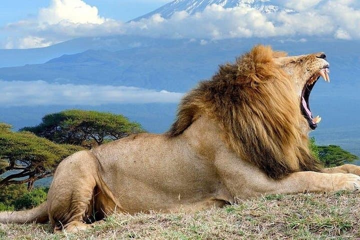 5-Day Private Safari: Maasai Mara, Lake Nakuru & Samburu Lodges photo 1